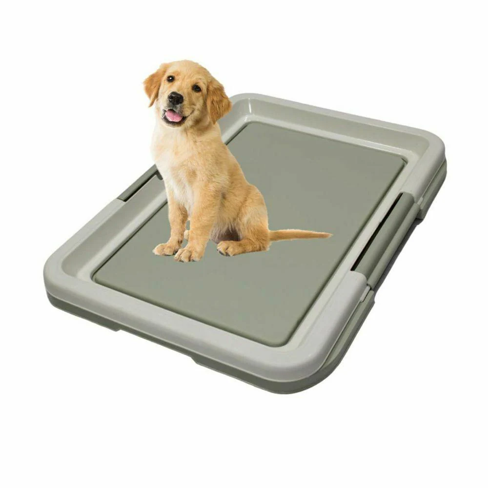 dog potty training tray