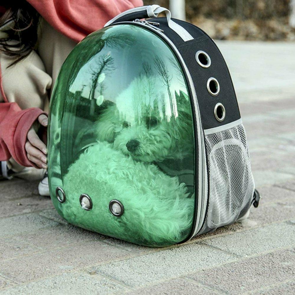 westgate pets backpack