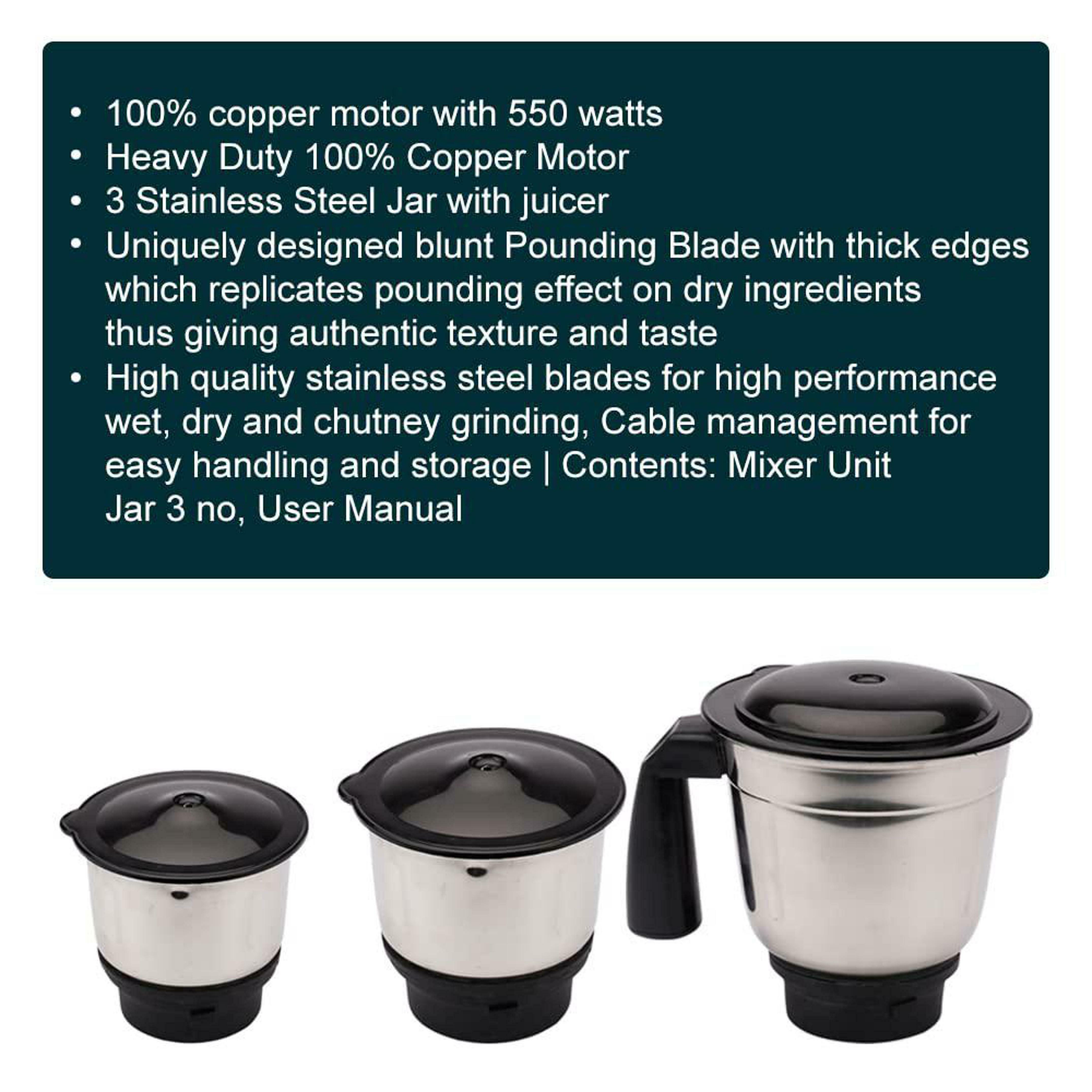 blueberry mixer grinder 550 watt price