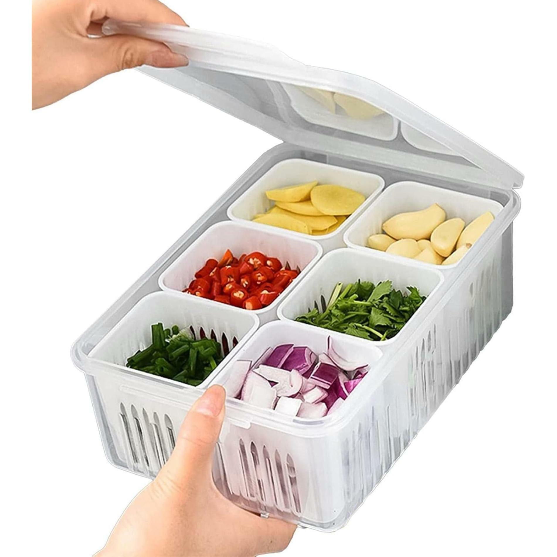 Buy MRP ENTERPRISE 6-Grid Fridge Storage and Freezer Containers
