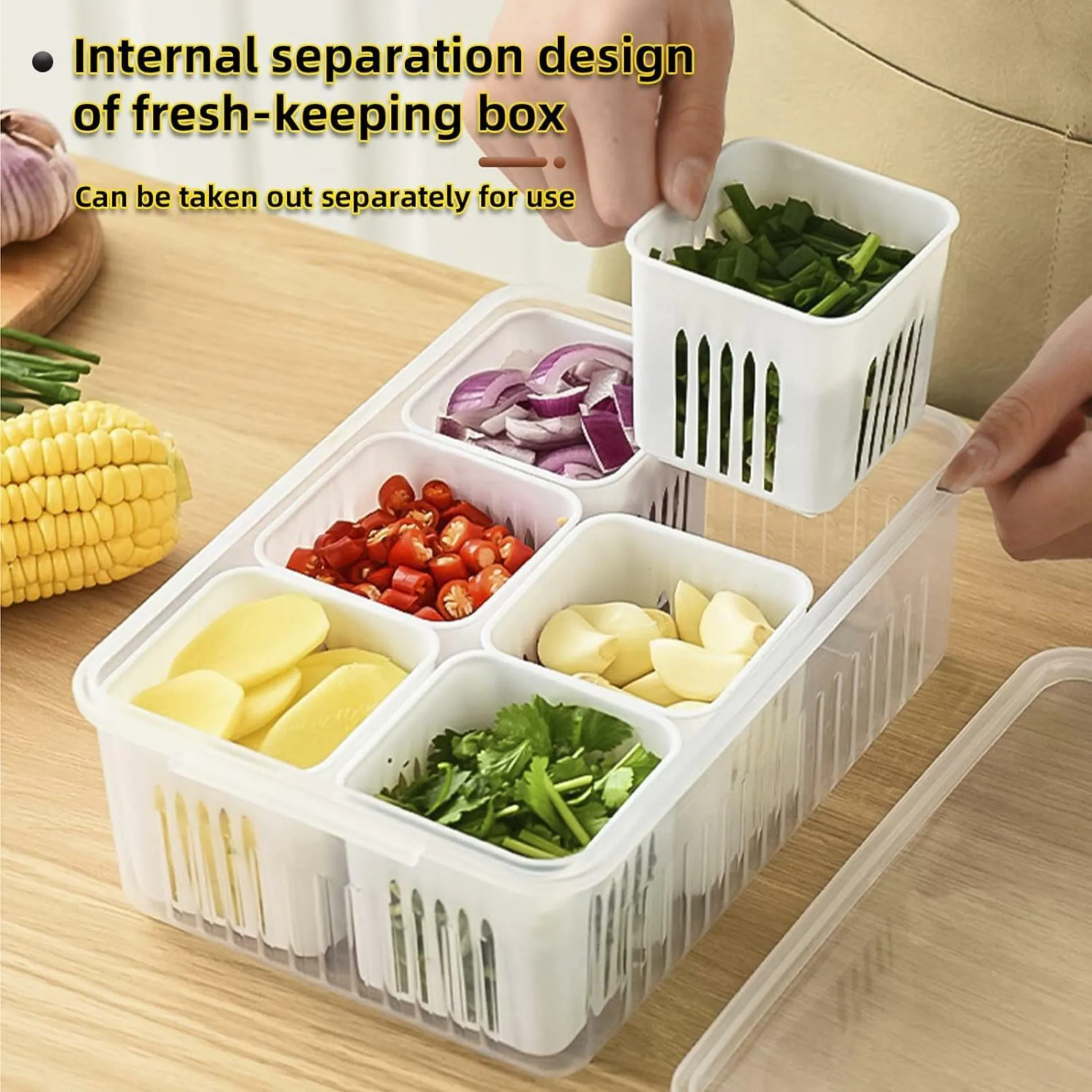 Buy MRP ENTERPRISE 6-Grid Fridge Storage and Freezer Containers