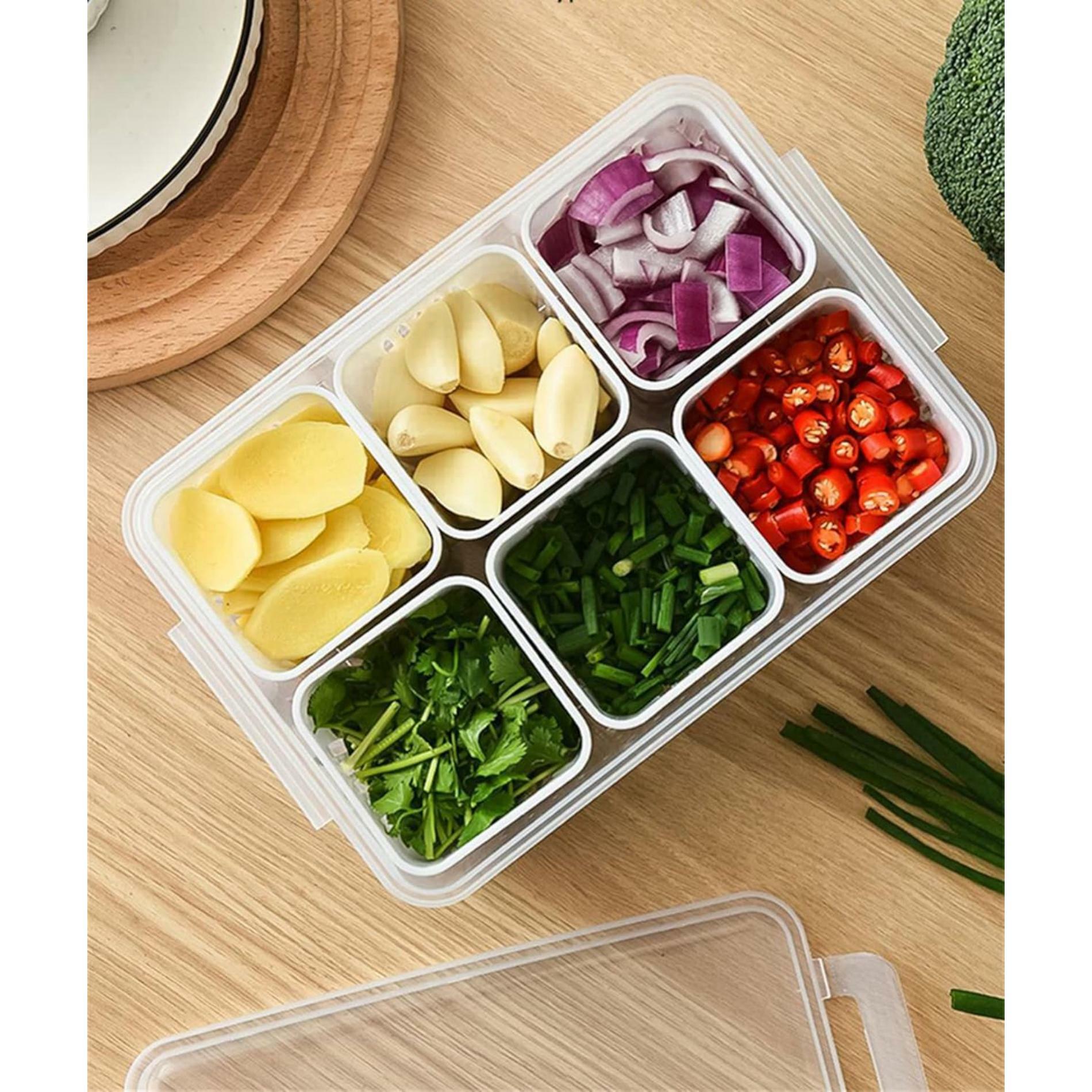 Buy MRP ENTERPRISE 6-Grid Fridge Storage and Freezer Containers