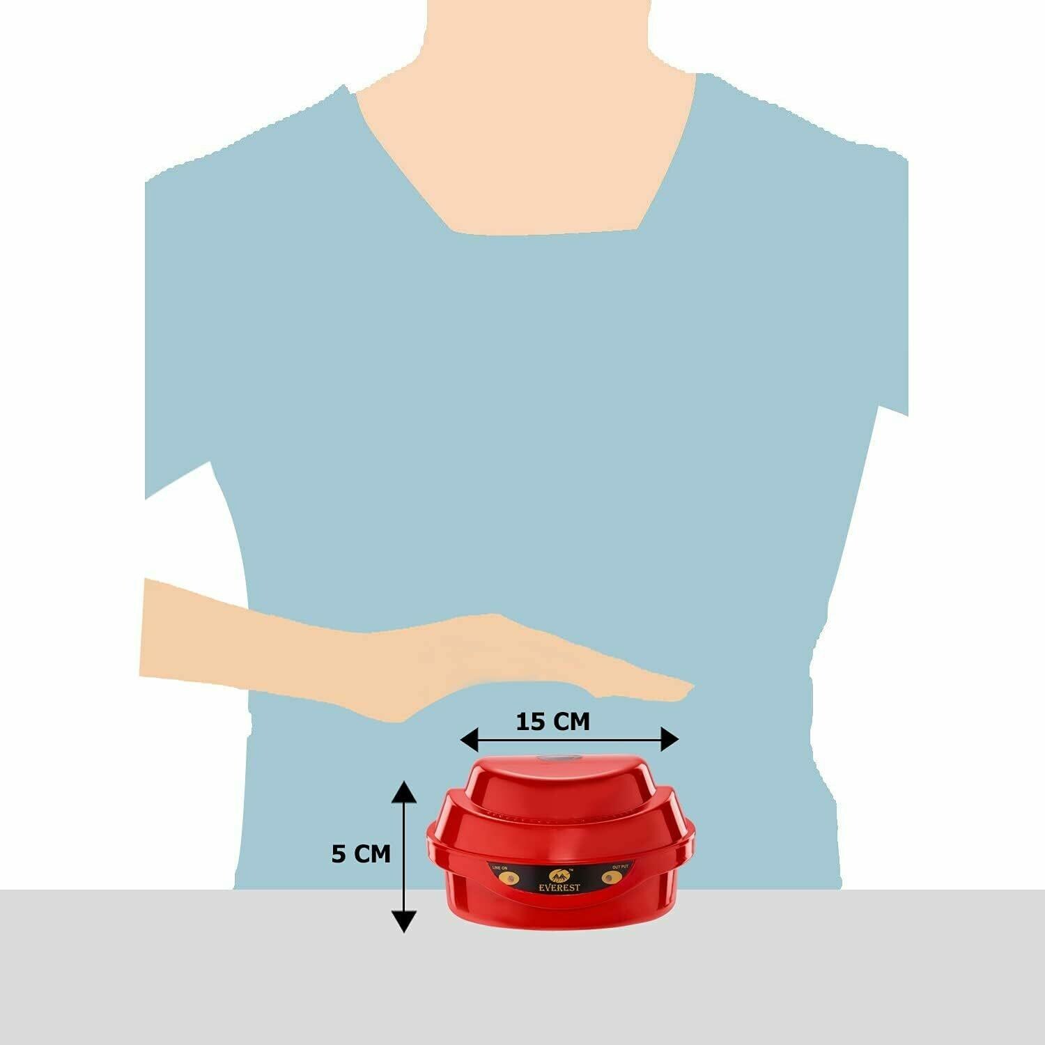 Buy Everest ABS Body Voltage Stabilizer for Old Model TV and DVD