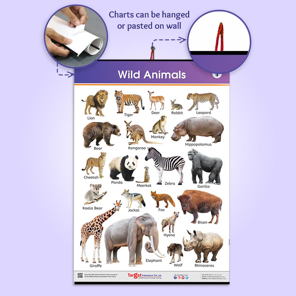 Target Publications Educational Charts for Kids 2-7 yrs (Set of 7) - JioMart