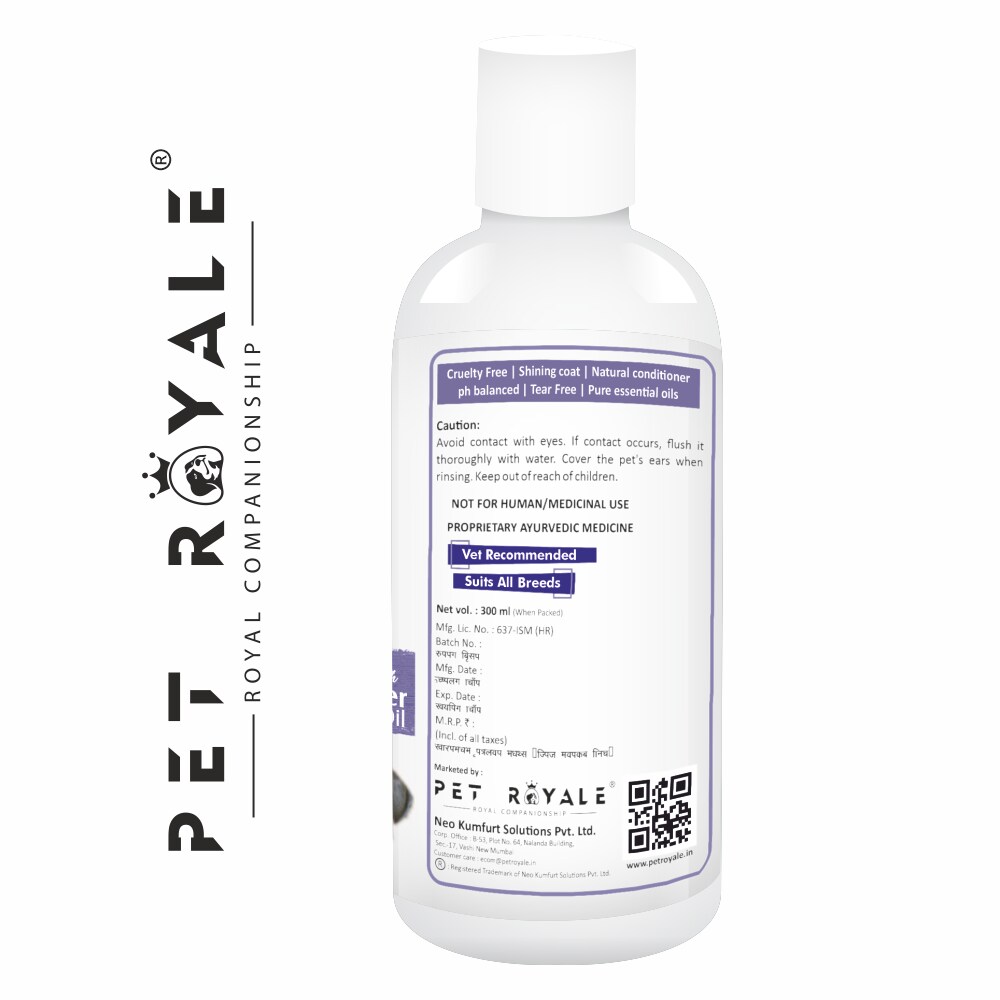 Can Dogs Use Human Dandruff Shampoo