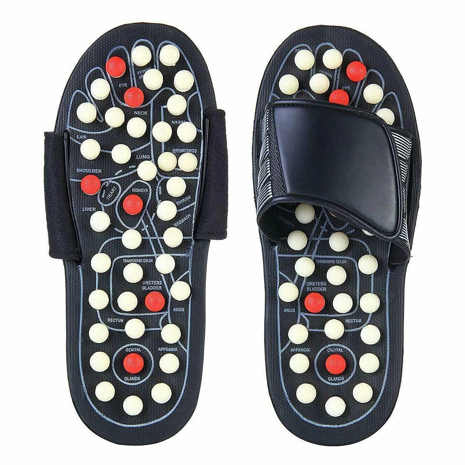 Accu Paduka Acupressure SlippersImprove Your Blood CirculationRelieve  Foot Pain and Heel TensionMassaging Sandals for Men and Women Slippers   Buy Accu Paduka Acupressure SlippersImprove Your Blood CirculationRelieve  Foot Pain and Heel Tension 