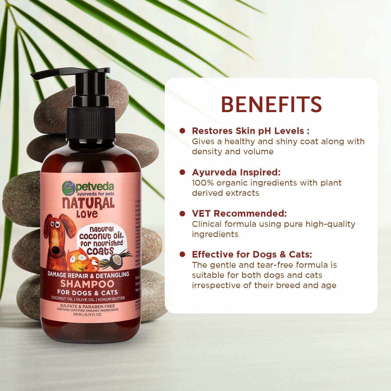 Will Olive Oil Hurt Dogs