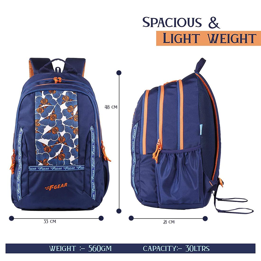 skybags rider backpack