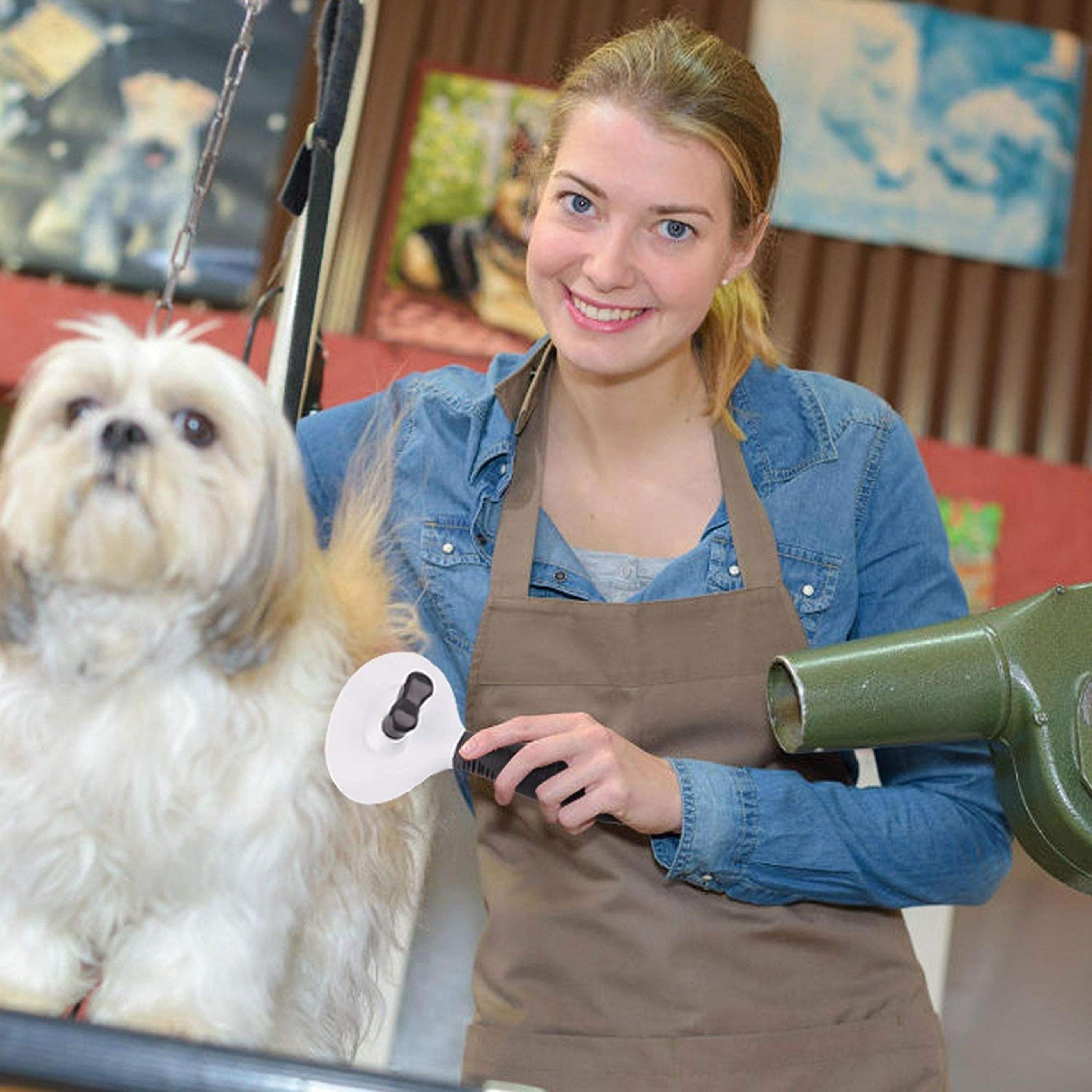 banfield dog grooming