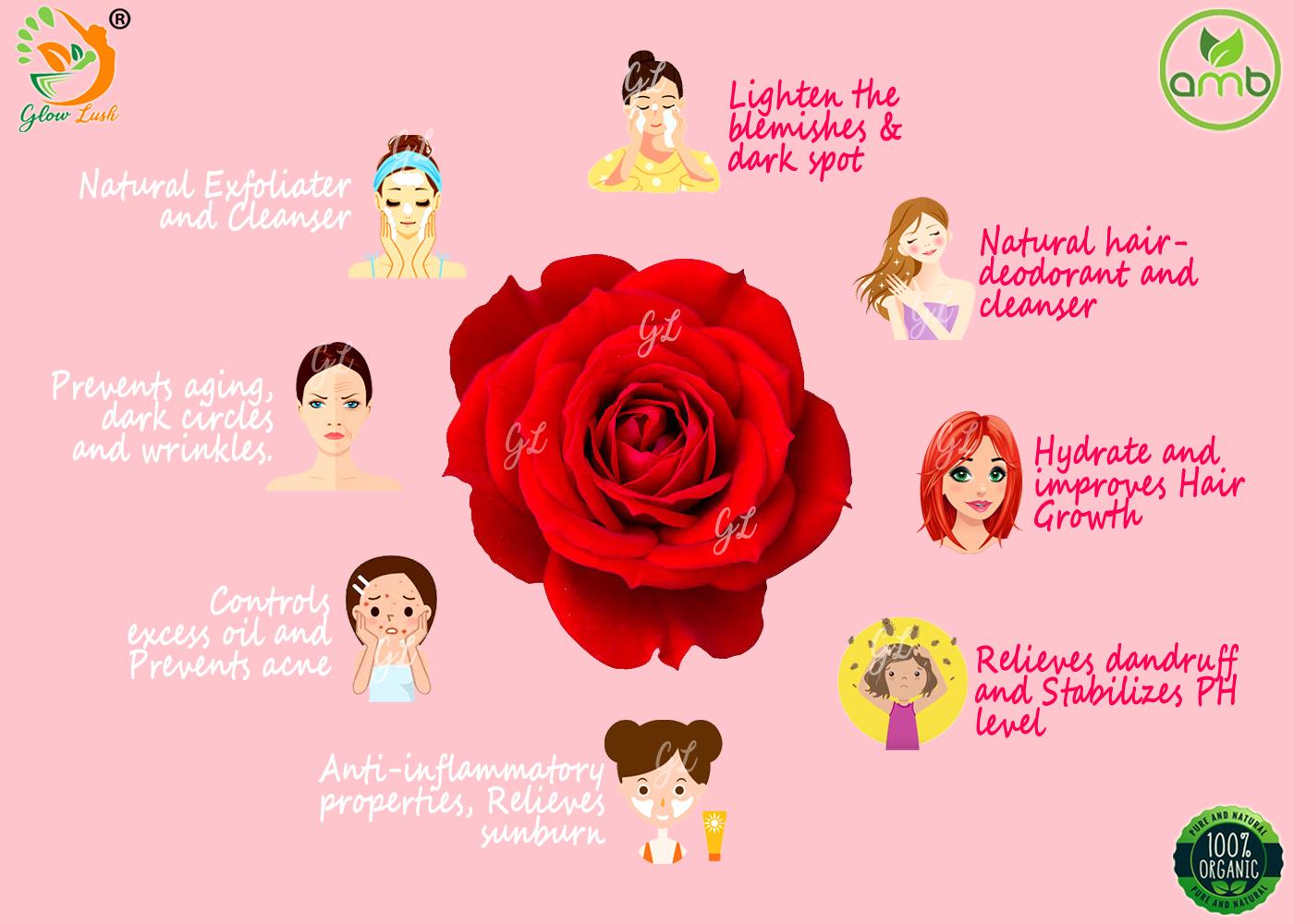 Glow Lush Natural Rose petal and Avarampoo Powder for Face Pack (100gm  Each) - JioMart