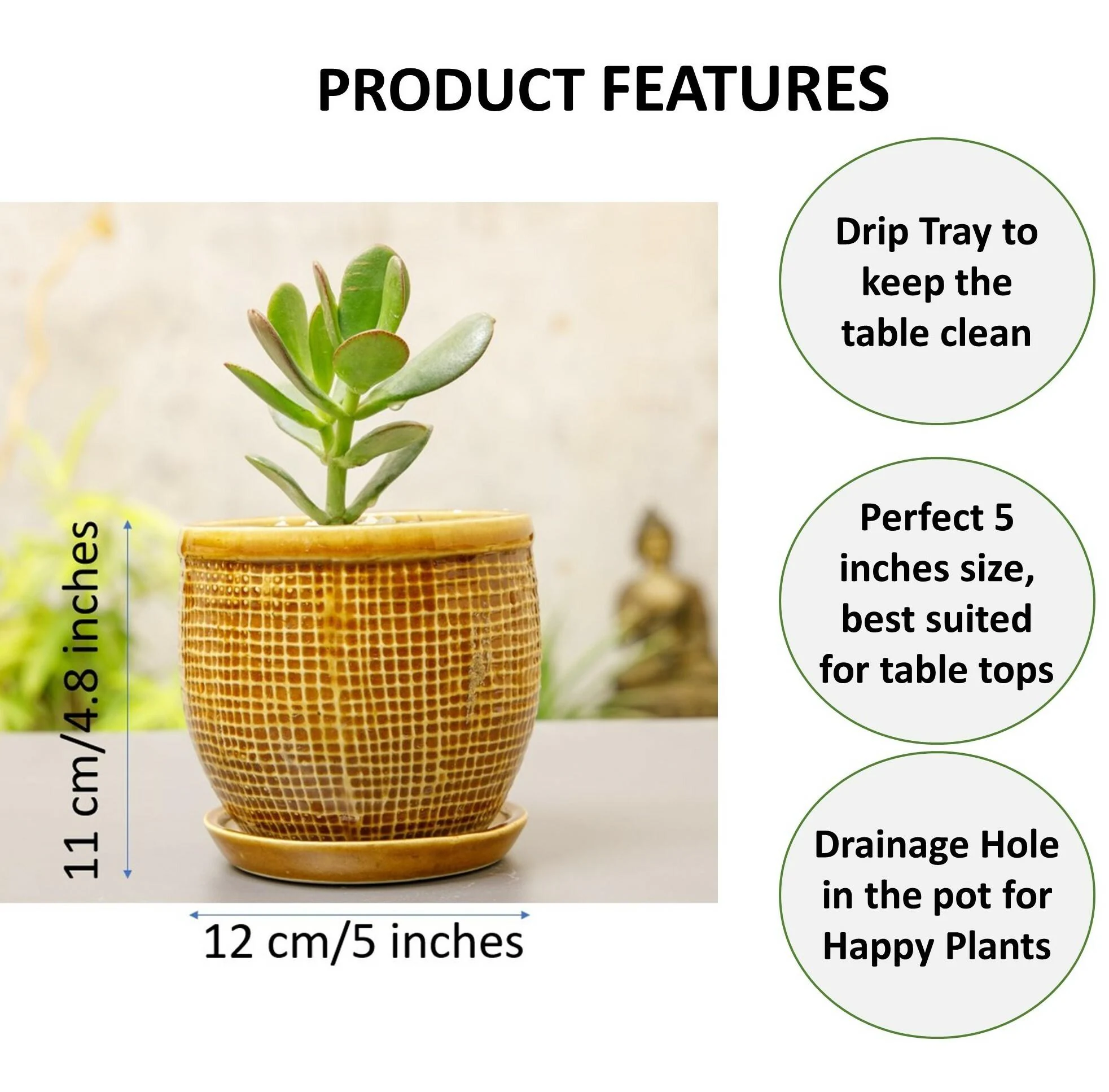 VALIEM+A-PLANTS POT M〗A-PLANTS 5周年記念植木鉢 valiem | STORES